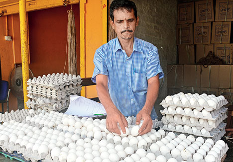 Is Egg Veg or Non-Veg? The Truth About Unfertilised Eggs in India